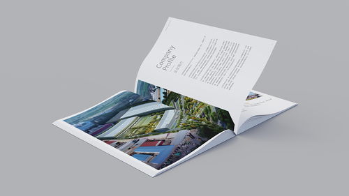 溫州企業(yè)形象與食品品牌宣傳冊設(shè)計(jì) 融合網(wǎng)頁設(shè)計(jì)理念的視覺新篇