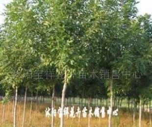 供應(yīng)電線電纜填充用高檔麻線_紡織、皮革_世界工廠網(wǎng)中國(guó)產(chǎn)品信息庫(kù)